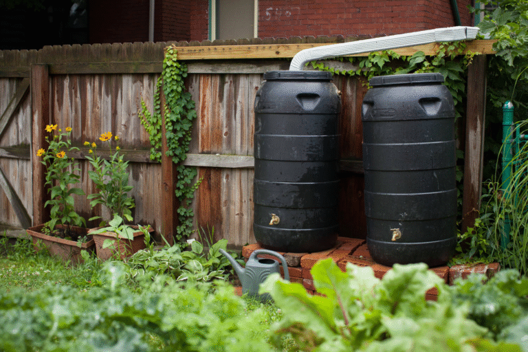 Rainwater Harvesting Tips for Small Backyard Gardens